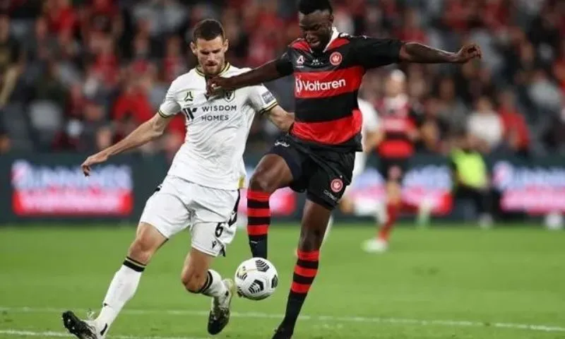 Giới thiệu chung về trận đấu đội hình câu lạc bộ bóng đá Macarthur gặp Estern Sydney Wanderers FC