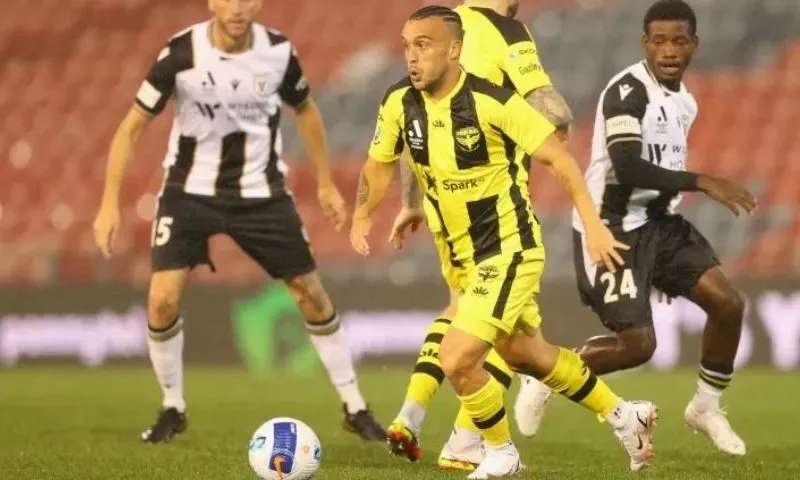 Giới thiệu về Đội hình câu lạc bộ bóng đá Macarthur gặp Wellington Phoenix FC